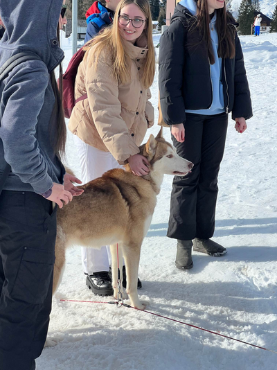 Schülerin 3Hc mit Hund
