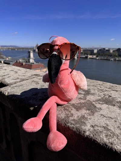Lotti in Budapest
